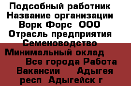 Подсобный работник › Название организации ­ Ворк Форс, ООО › Отрасль предприятия ­ Семеноводство › Минимальный оклад ­ 30 000 - Все города Работа » Вакансии   . Адыгея респ.,Адыгейск г.